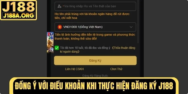 Đồng ý với các điều khoản 